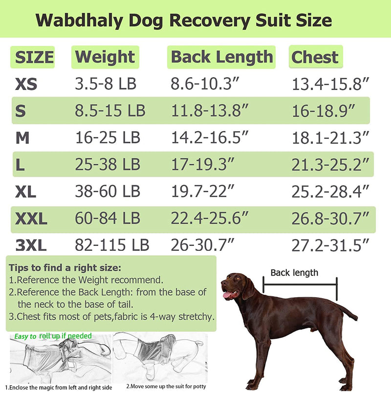 Wabdhally Dog Surgery Recovery Suit,Surgical Recovery Female Spay Suit for Medium Dogs Cats,Surgery Recovery Multi Purple Onesie M Multi Purple Striped - PawsPlanet Australia
