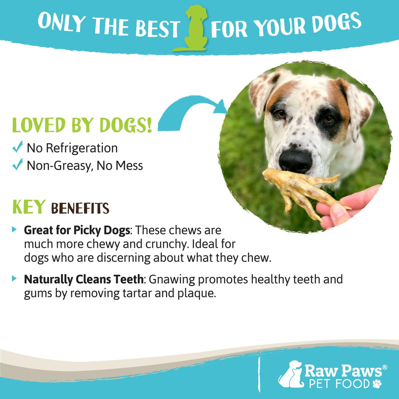 Raw Paws Dried Chicken Feet Dog Treats (10 Count) - Packed in USA - Dehydrated Chicken Feet for Dogs - Natural, Single Ingredient Chews 1 Count (Pack of 10) - PawsPlanet Australia