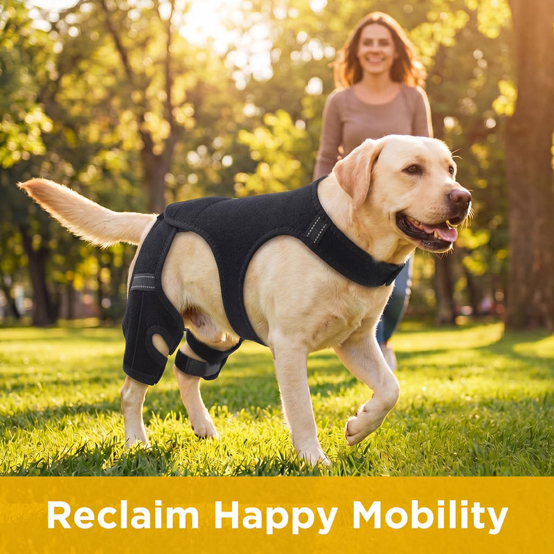 Aliceset Dog Hind Leg Knee Pads, Torn Acl Hind Leg Breathable and Adjustable Support Sleeves, Fit Snugly and Securely, Providing Secure Comfortable Support, Suitable for Everyday Wear(L) L