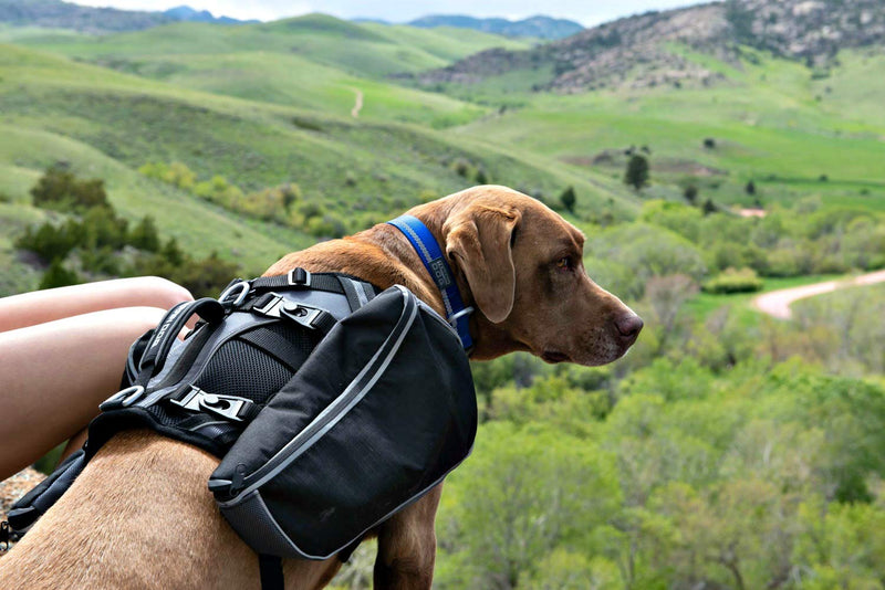 Terrain D.O.G. 07-9421-H2 Adventure Pack, Black/Gray, Large, Black/Grey - PawsPlanet Australia