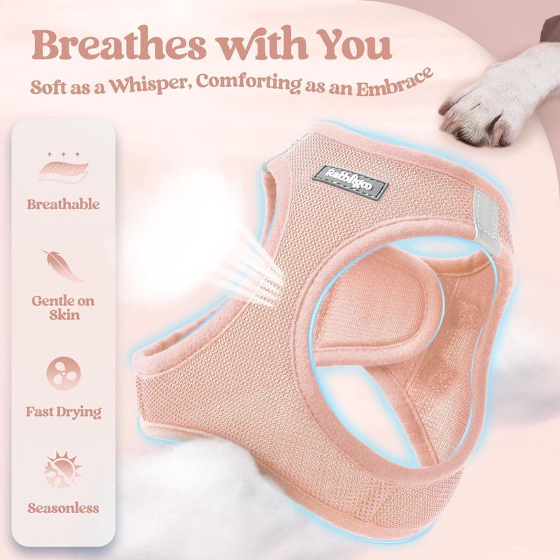 rabbitgoo Dog Harness Small Sized and Leash Set, Step in Soft Light Puppy Vest, Breathable Mesh Pet Harness, Reflective for Safe Outdoor Walking, Pink S S (Chest: 15.1 - 16.5") - PawsPlanet Australia