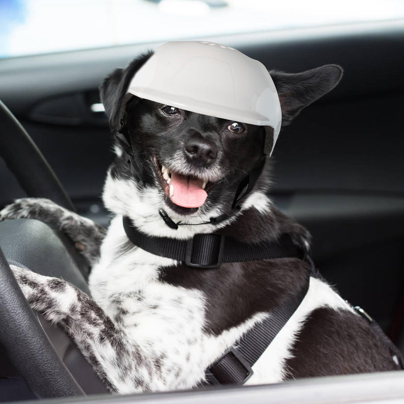 Dog Helmets for Small Dogs with Ear Holes, Hard Safety Pet Dog Hat for Puppy, Windproof Doggies Motorcycle Helmets for Outdoor Riding Hiking Cycling (White, Small) - PawsPlanet Australia