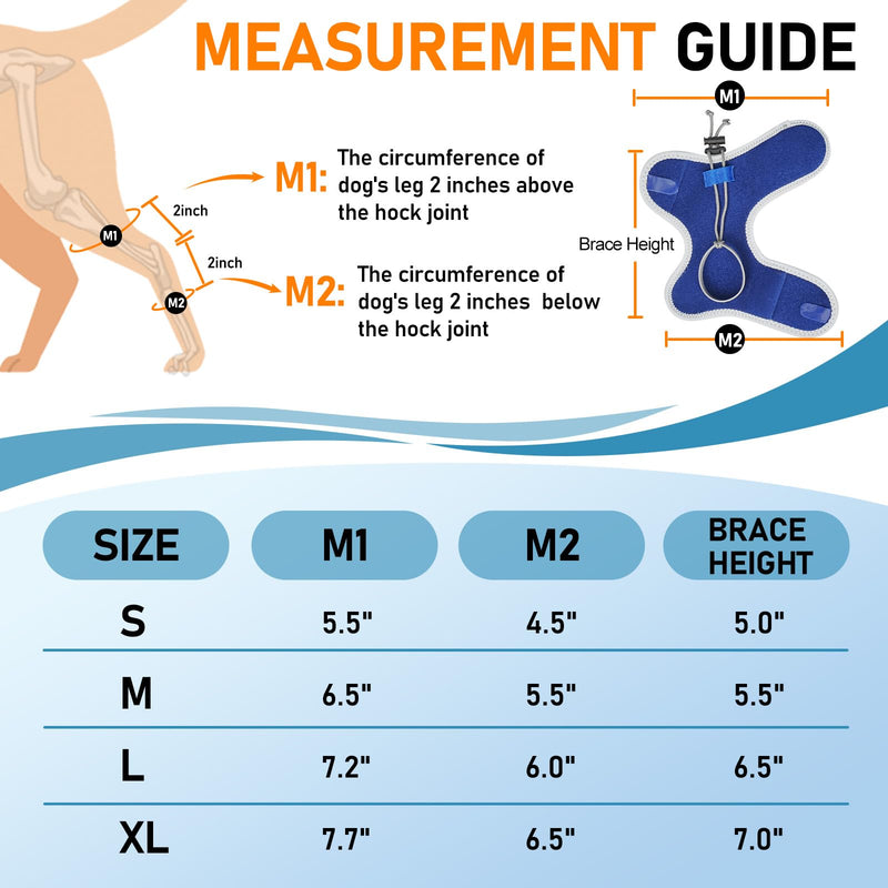 Supet Knuckling Brace for Dogs, Comfortable Foot Splint, Ankle Brace Back Leg for Toe Dragging Cause by Myelopathy, Sciatic Nerve Insufficiency & Herniated Disc (Blue, XL)