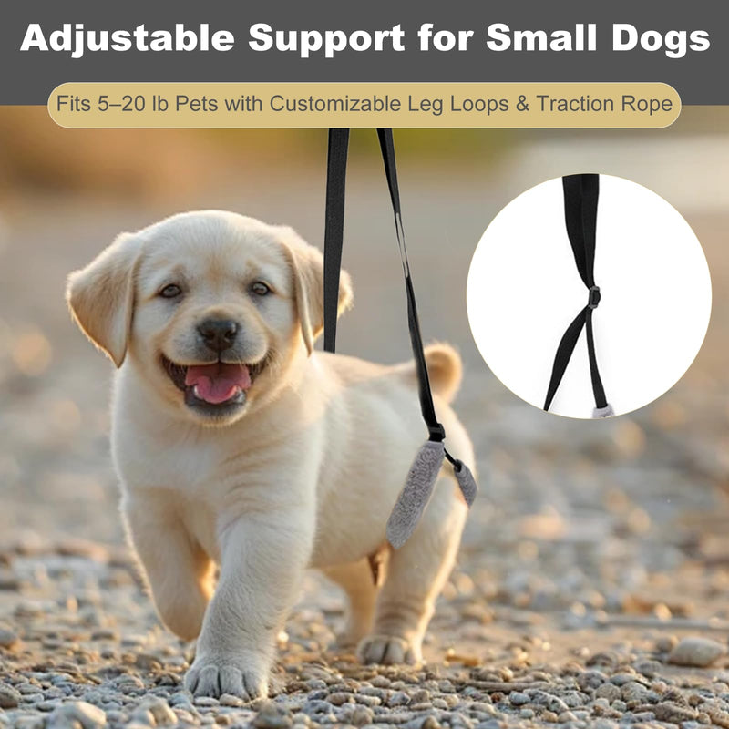NIIIYTYB Sling for Dogs Back Legs Rear Support Harness for Paralyzed or Handicapped Pets Assistance Lift Slings for Hind Leg Mobility Small Dog Handicap Supplies for Joint Injuries and Stability Black