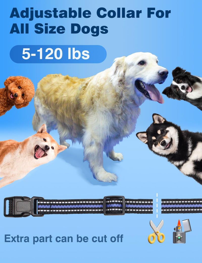 Bark Shock Collar for Dogs, 3300Ft 2-in-1 Bark and Training Collar Combo with Beep, Vibration, Static & Auto Mode, IPX7 Waterproof Automatic Bark Collar for Small Medium Large Dogs (7-120lbs) Blue - PawsPlanet Australia