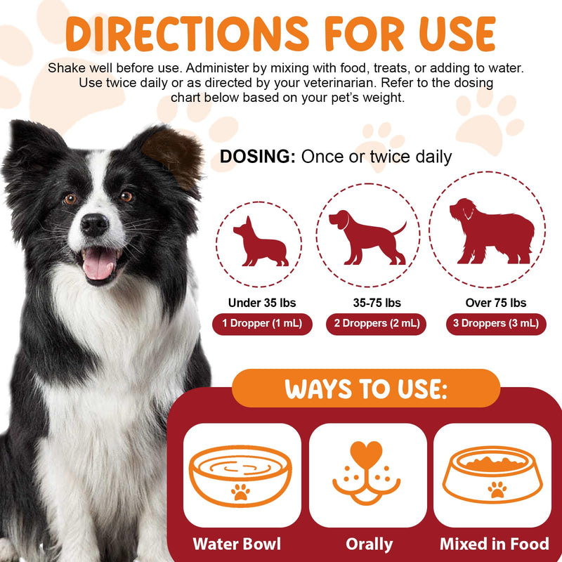 Liquid Iron Supplements for Dogs,LiquiI Iron Drops with Folate VC and B12,Supports Anemia, Low Enery Levels and Lethargy,Promotes Blood Health, Helps with Formation of Red Blood Cell- 2 fl.oz