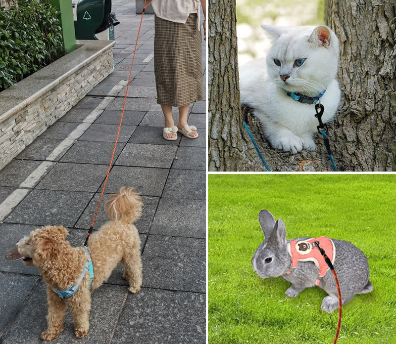 WYuZe 1/5" X-Small Dog Leash for Puppies Under 15lb, 6/10/15 FT Lightweight Reflective Cat Leash Thin Rope for Tiny Dogs Walking Training (6FT x1/5", Blue) 1/5" x 6 FT - PawsPlanet Australia