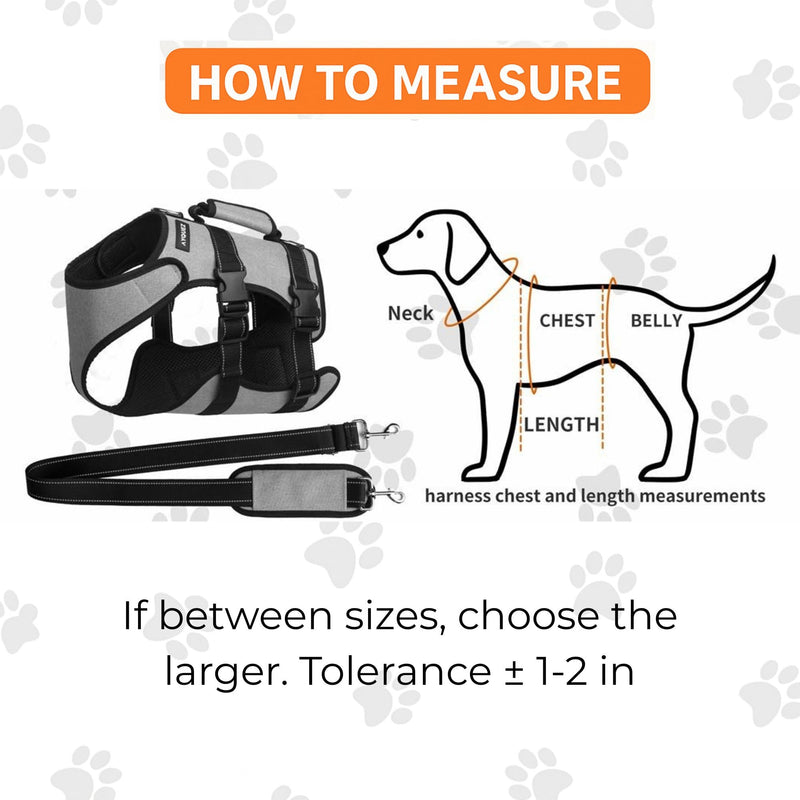 Ayquez Dog Lift Harness with Storage and Transport Bag, Dog Harness with Handle for Lifting & Hip dysplasia, arnés para Perros pequeños, pechera para Perros (Gray, M) Gray - PawsPlanet Australia