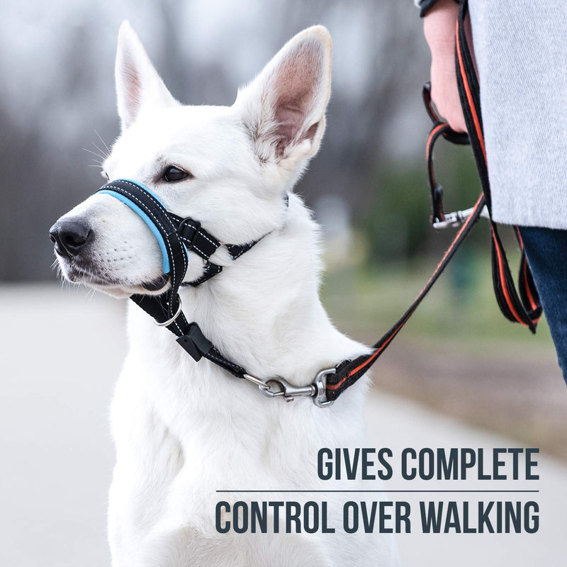 GoodBoy Dog Head Halter with Safety Strap - Stops Heavy Pulling On The Leash - Padded Headcollar for Small Medium and Large Dog Sizes - Head Collar Training Guide Included (Size 3, Blue) Size 3 (Pack of 1) Black Nylon / Blue Padding
