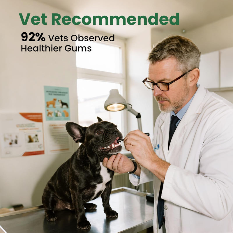 Dog Teeth Cleaning Powder, Dog Dental Powder and Cats Breath Freshener, Plaque Off Pet Tooth Cleaning lab co, Bad Breath & Tartar Remover, Dog Teeth Cleaning with Enzymes-Green Tea