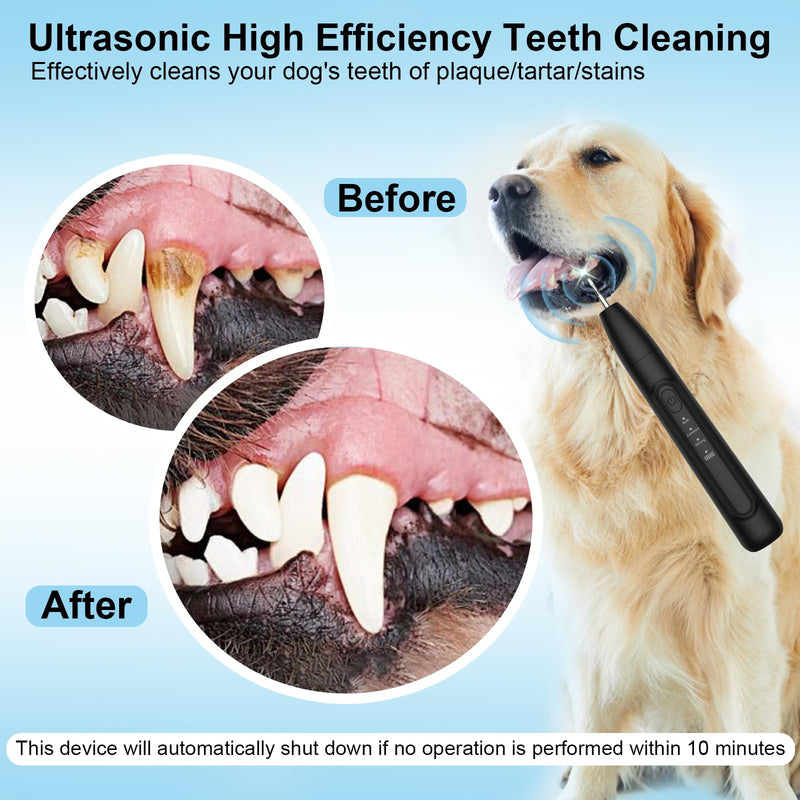 Ultrasonic Dog Plaque Remover Tool, 3 Modes Plaque and Tartar Remover for Dogs, Low Noise Sonic Dog Tartar Remover Dogs Plaque Remover with Toothbrush 2 Cleaning Head for Pet Dental Care, Black