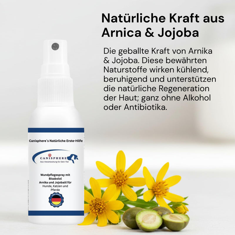 Pet Wound Care Spray - Natural Wound Spray for Dogs & Cats - Antiseptic, Cooling & Itch Relief - Ideal for Hot Spots, Insect Bites & Skin Irritations