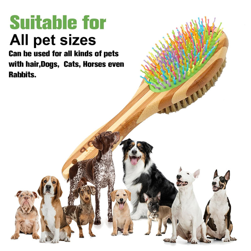 Dog Brush in Mint Green for Dogs Grooming and Detangling, Easy to Hold Ergonomic Handle, Double Sided Soft Silicone Teeth and Bristle Brushes, Best Pet Brush for Curly-haired Dogs, Eco Friendly - PawsPlanet Australia