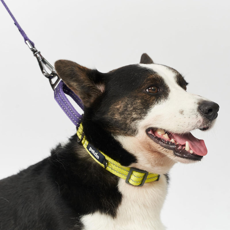Martingale Collar for Large Dogs, Reflective No Pull Dog Collar with Quick Snap Buckle, Heavy-Duty Thick Slip Collar, Purple/Lime Green Large (Neck: 12"- 20") Lime Green / Purple