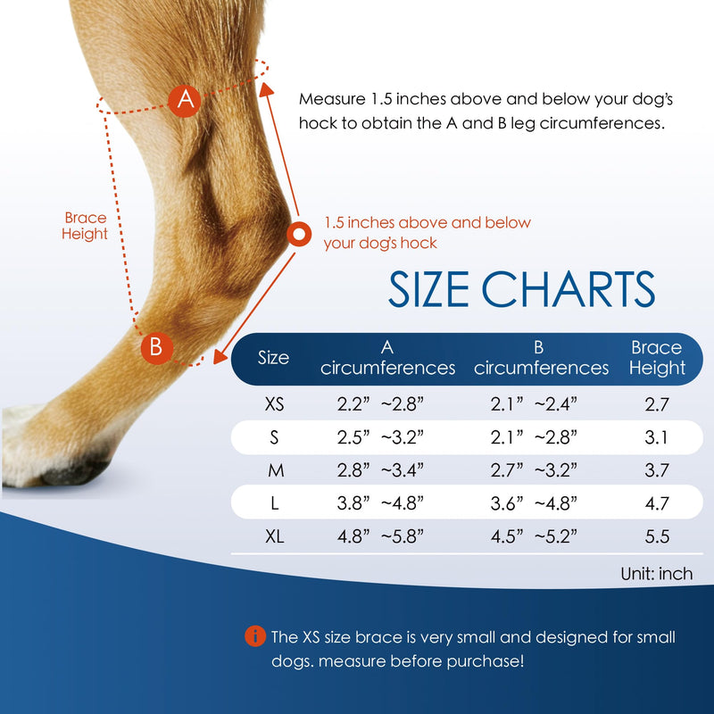 Dog Knee Brace for Rear Leg Torn ACL, Canine Rear Hock Joint Support, Joint Injury and Sprain Protection, Removable Design, Comes with 4 Spring Bars and 4 Steel Bars (L Pair) L-Pair - PawsPlanet Australia