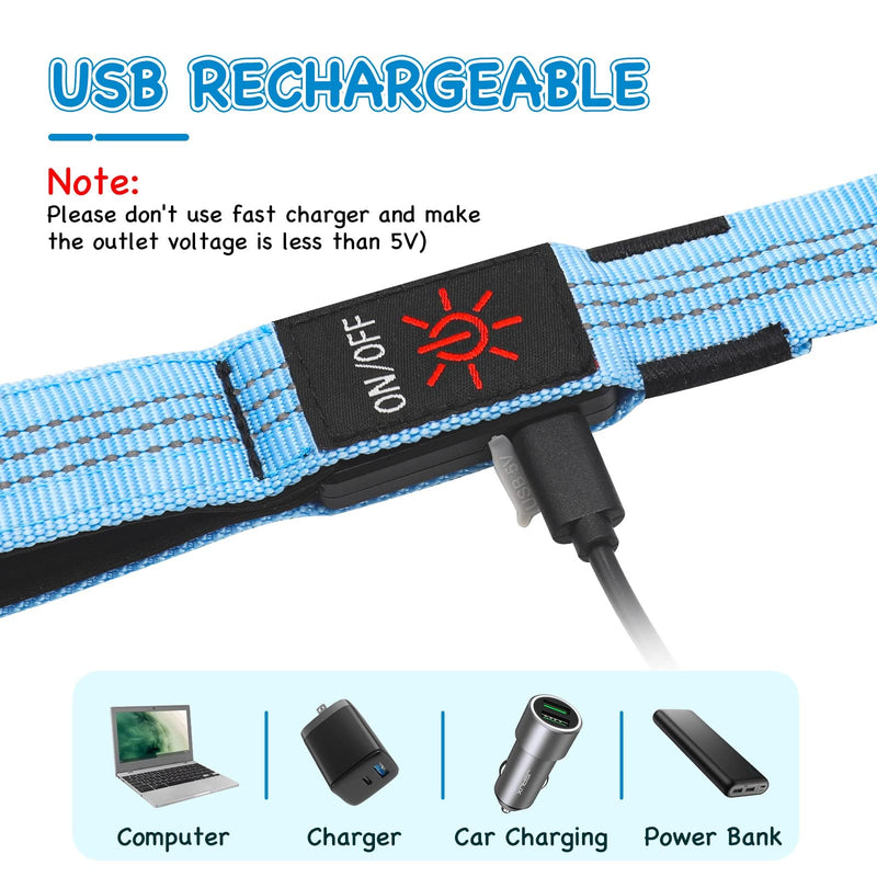 Weesiber Glowing Light Up LED Dog Leash - 4ft USB Rechargeable Flashing Nylon Leash for Small Medium Large Dogs, 3 Flash Modes Blue - PawsPlanet Australia