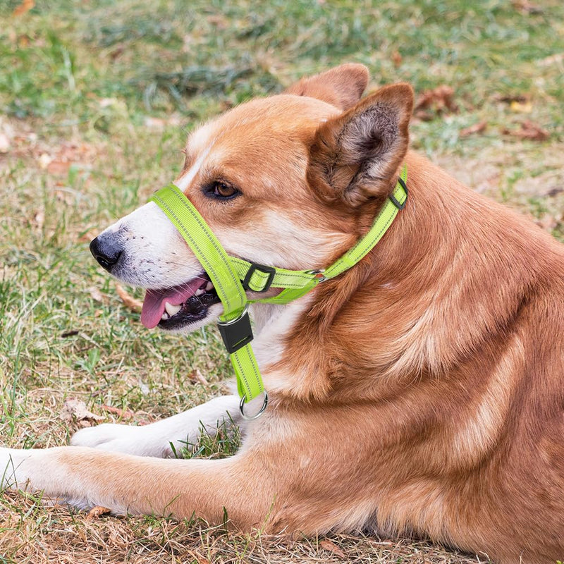 Reflective Dog Headcollar - Adjustable gentle leader Dog Head Halter Stops Heavy Pulling On The Leash - Soft Padded Head Collar for Medium Large Dogs Easier Walks (Medium, Green) - PawsPlanet Australia