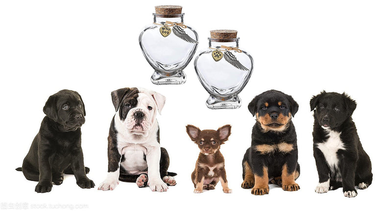 Fight Club Memorial Bottle for pet Hair，Pet Fur Memorial Fur Keepsake，Dog cat Keepsake Fur, pet Memorial urn (Dog) dog - PawsPlanet Australia