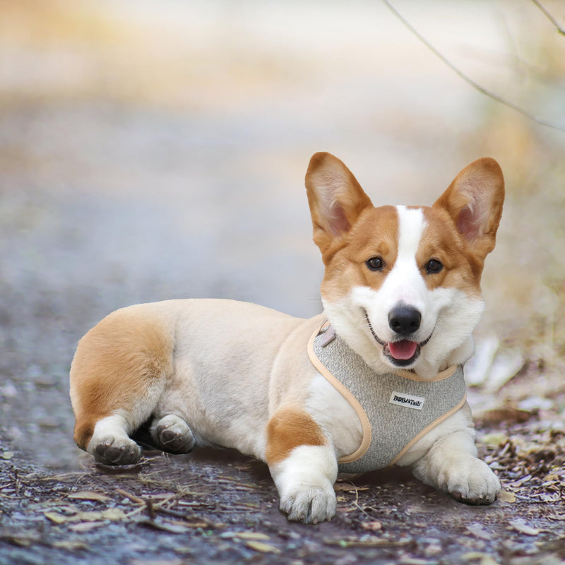 No Pull Dog Harness with Leash Clip,Adjustable Soft Padded and Cotton Fabric Pet Vest for Large,Medium and Small Dogs (Taupe, Small) TAUPE - PawsPlanet Australia