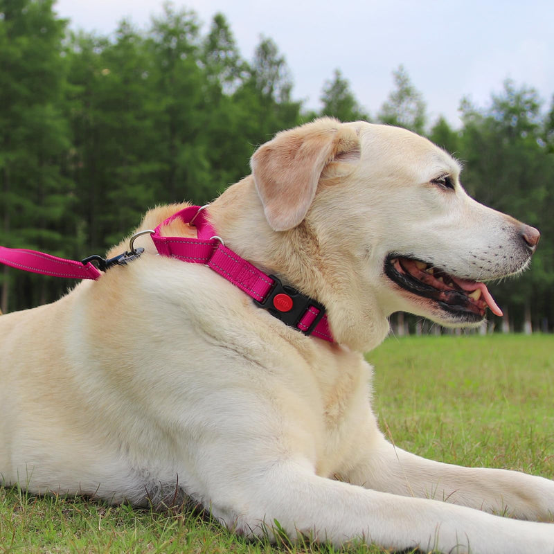 Joytale Martingale Collar for Dogs, Reflective Heavy Duty Dog Collar for Safety, Quick Release Buckle, Adjustable Nylon Collars for Medium Dogs Walking Training, Hotpink,M