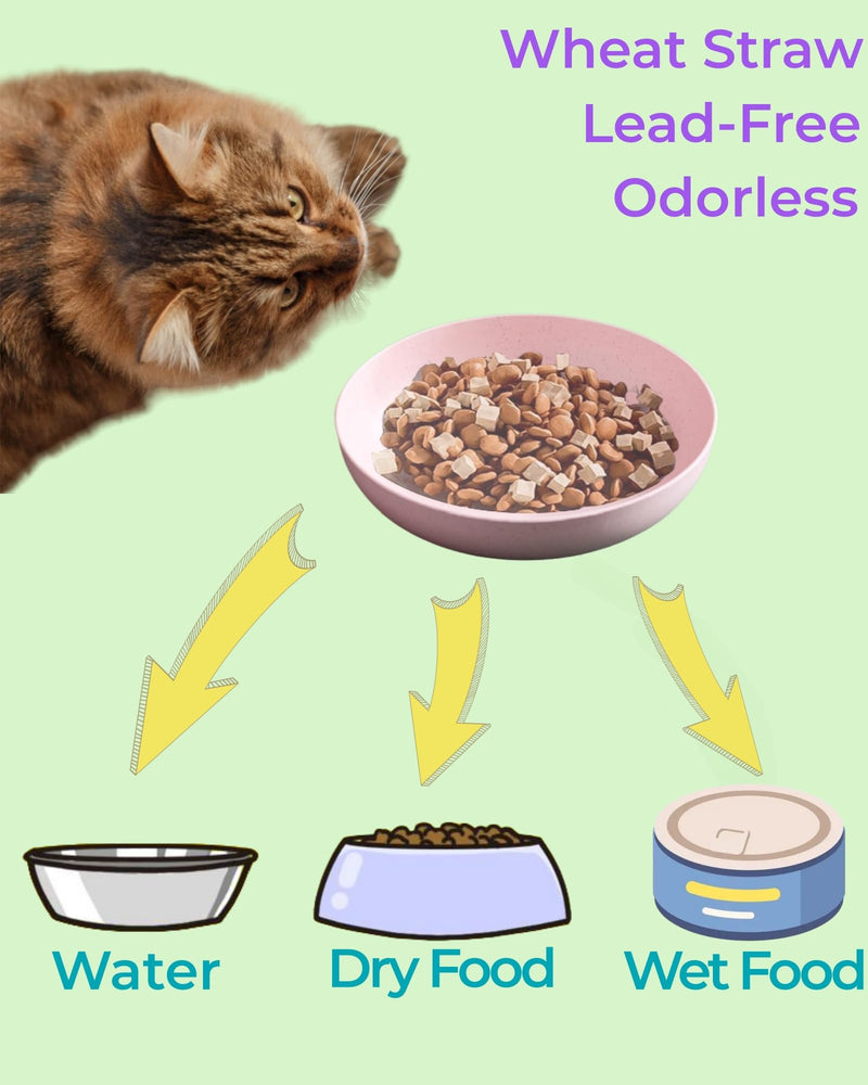 6-Pack Cat Food Bowl with Non Slip Feet, Whisker Fatigue Cat Dishes for Food, Shallow Kitten Bowls Set for Indoor Cats, 5.5" Flat Cat Plates for Wet Food - PawsPlanet Australia
