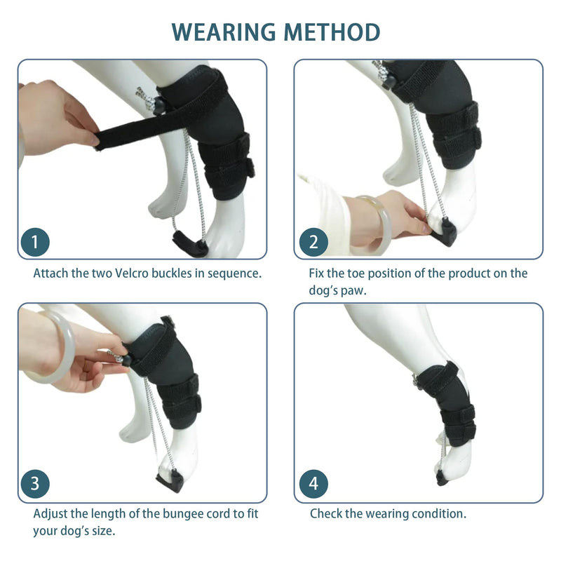 Dog Knuckling Brace, Dog Toe Grips for ACL Injury, Hock Fracture, Arthritis & Meniscus Tears, Rear Legs, L