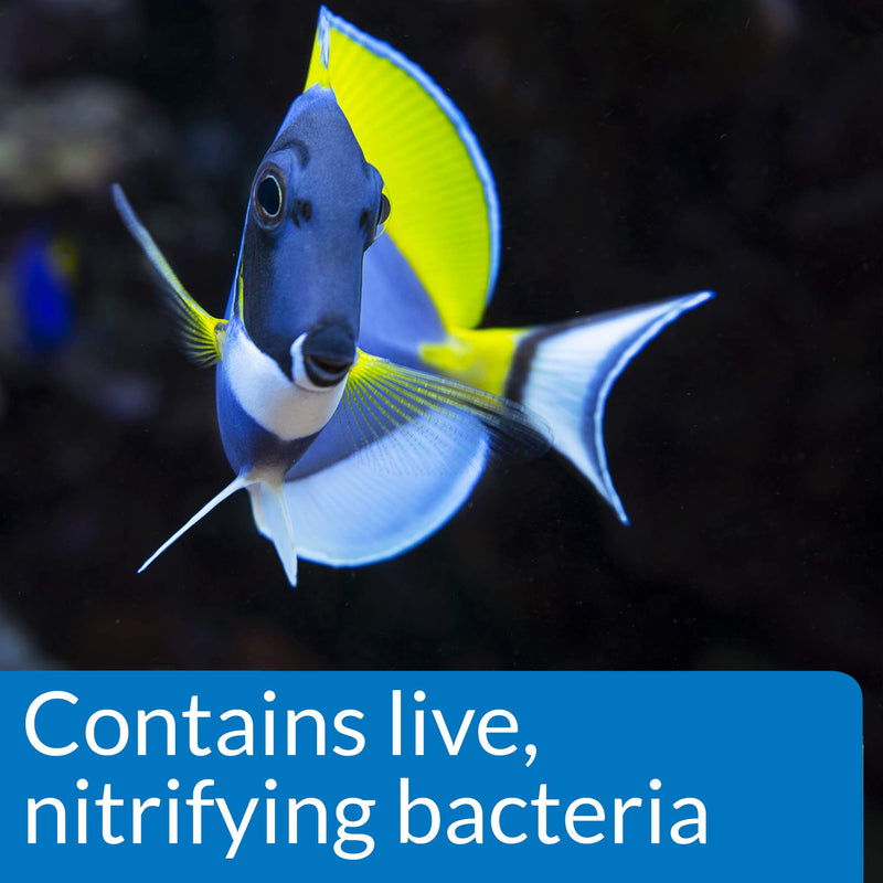 API MARINE QUICK START Saltwater And Reef Aquarium Nitrifying Bacillus 16-Ounce Bottle - PawsPlanet Australia