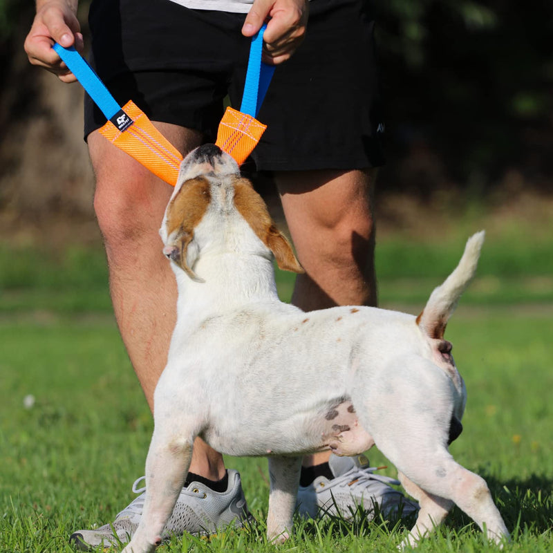K9 Dog Bite Tug Toy with 2 Strong Handles - Made of Durable & Tear-Resistant Fire Hose - Perfect for Tug of War, Fetch & Puppy Training - Ideal Pull Toy for Medium to Large Dogs, 12 Inches - PawsPlanet Australia