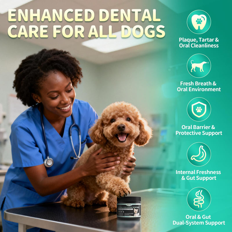 Dog Dental Powder – Teeth Cleaning Powder with 6B CFU Probiotics, Enzymes & Antioxidants, Plaque & Tartar Off, Fresh Breath Support, 75 Days, Mint Chicken Flavor, No Brushing Oral Care Mint-Chicken 75 Servings - PawsPlanet Australia