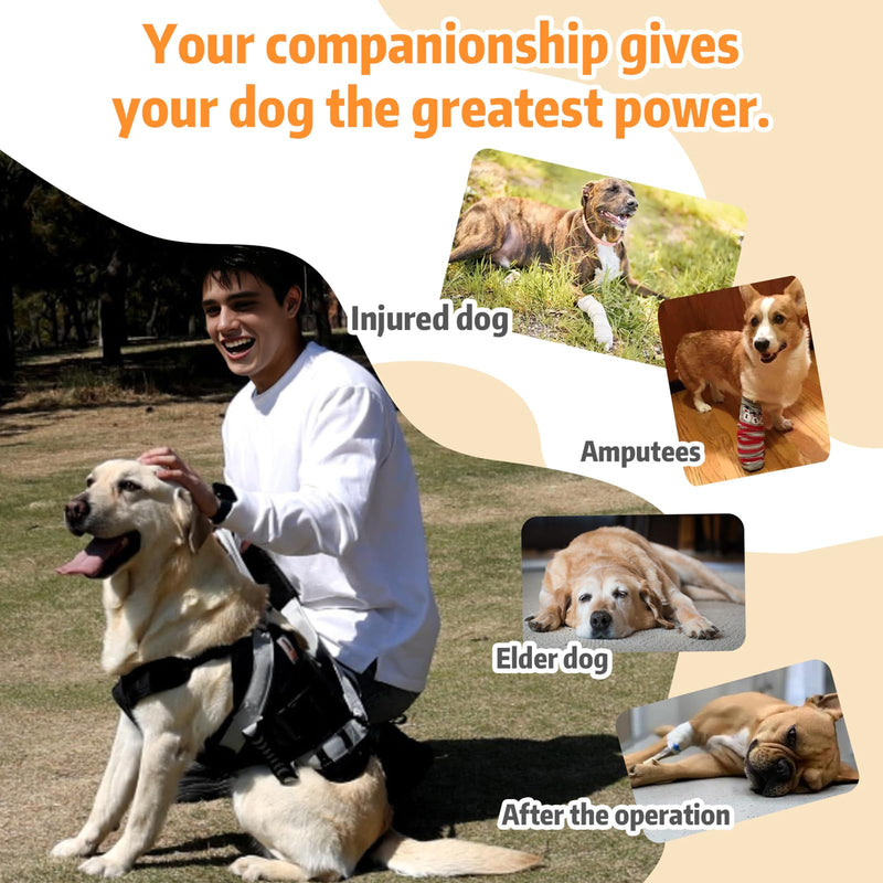 Dog Lift Harness for Large Dogs,Full Body Dog Sling Carrier with Handle,for Up Stair/Back Legs Support/Dogs Joint Injuries/Arthritis (Large) - PawsPlanet Australia
