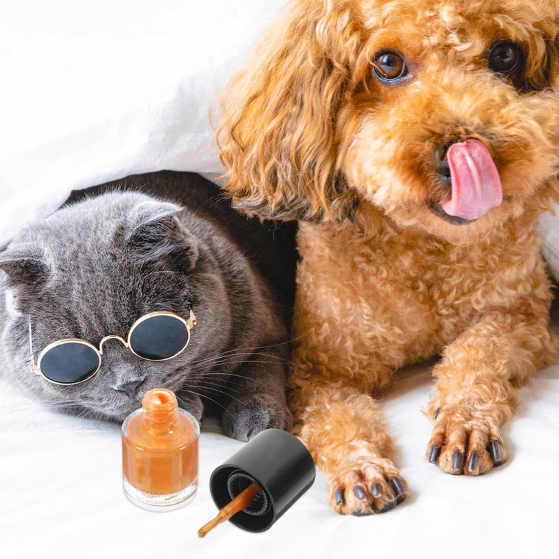 Dog Nail Polish Quick Dry Pet Nails Polish Set 6 Pcs Water-Based Healthy Paw Grooming Pet Dye Kit for All Pets - PawsPlanet Australia