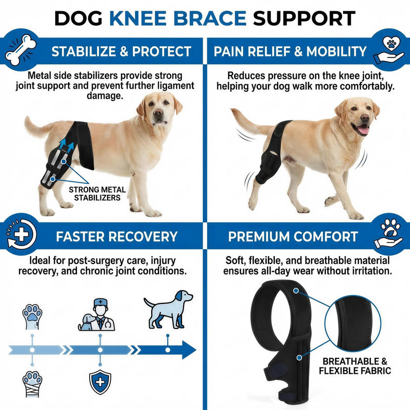Dog Knee Brace for Torn ACL CCL – Adjustable Hind Leg Support with Metal Stabilizers, Relieves Joint Pain, Aids Recovery & Prevents Injury, Comfortable & Secure Fit for Dogs Back Leg (S) S