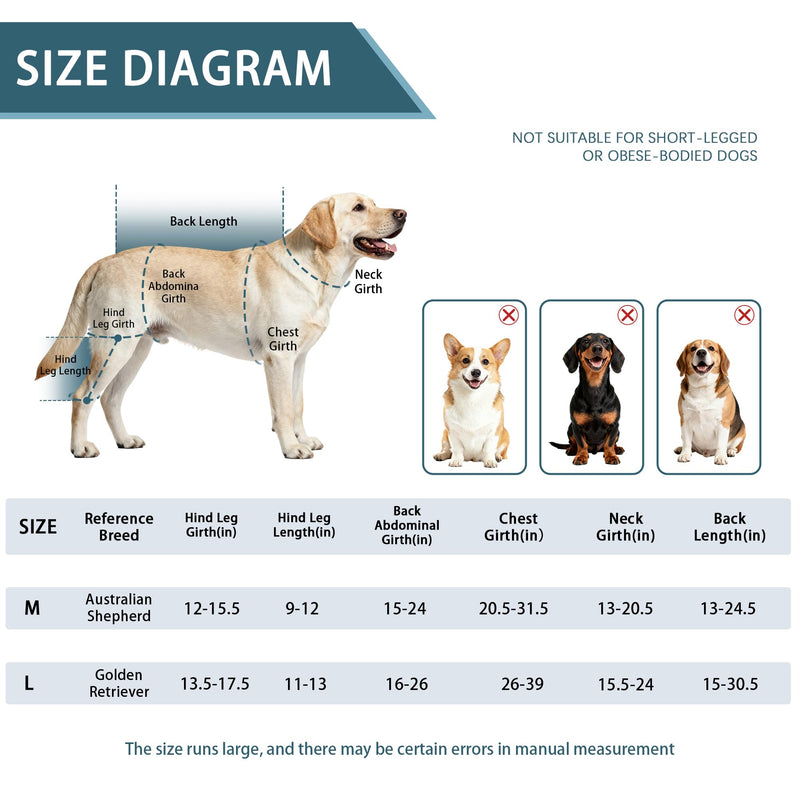 Dog Knee Braces for Back Leg, Dual-Use for Hot/Cold Compress Relieves Acute Joint Pain and ACL Injuries, Includes Removable Gel Ice Pack Suitable for Medium to Large Dogs, Right Leg M
