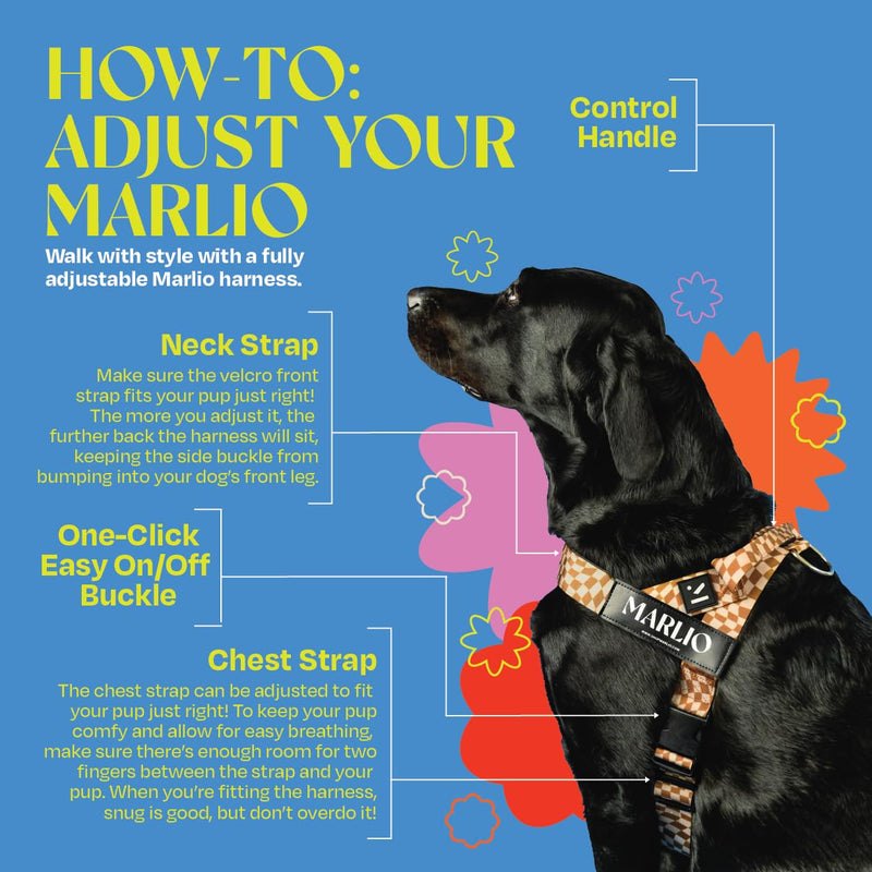 Marlio Adjustable Dog Harness - Stop Pulling, No Choke, Ensure Comfort, and Style with Easy-On, Unique Prints and Matching Leashes Available - Large, Blue/Yellow Swirl - PawsPlanet Australia