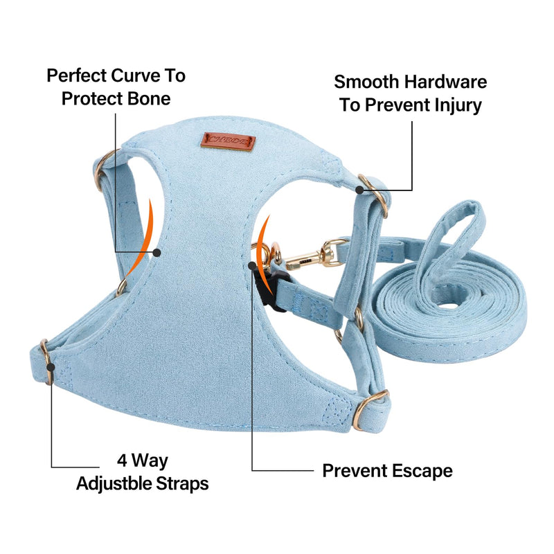 No Pull Dog Harness- Lightweight, Soft, Adjustable Small Harness Collar and Leash Set, Suitable for Cats Puppy Small and Medium-Sized Dog Outdoor Training and Running (Blue, S) Blue - PawsPlanet Australia