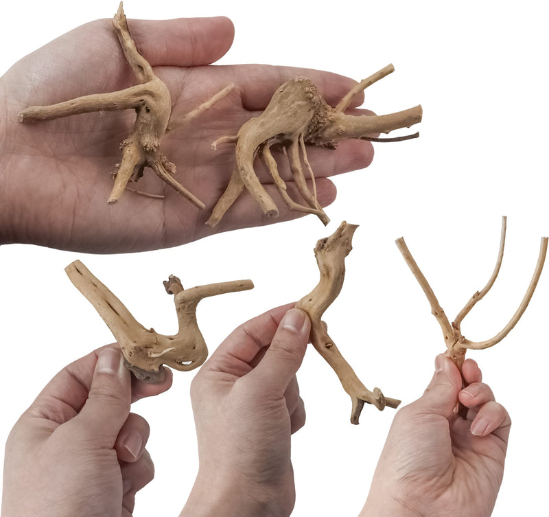 8 Pack Natural Driftwood for Aquarium, Aquarium Decor Spider Wood Freshwater Fish Tank Reptile Driftwood Branch (3.15"- 4") 3.15"- 4" - PawsPlanet Australia
