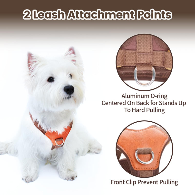No-Pull No-Choke Dog Harness and Leash Set - Adjustable Soft Padded Vest, Lightweight Retro Design for Small Medium Dogs and Puppies, Easy Control and Comfortable Walk (Green, M) Green M(Chest 19.7"-25.2") - PawsPlanet Australia