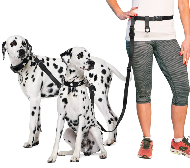 The Buddy System Accessories for Our Dog Leashes Made in USA (Double Buddy, Regular Dog Black) Double Buddy Regular