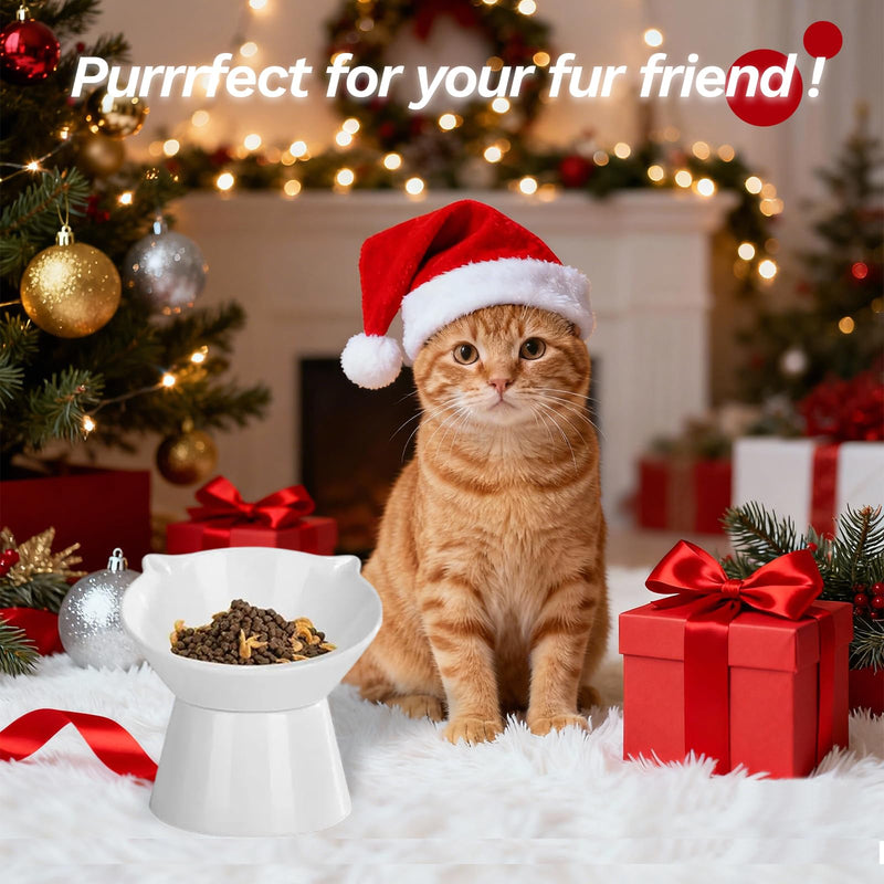Raised Cat Bowls,Anti Vomiting Cat Dish Elevated Cat Bowls Slanted for Food and Water,Cat Feeding & Watering Supplies 15° Tilted Raised Cat Pet Food Bowls for Indoor Cats and Small Dogs White