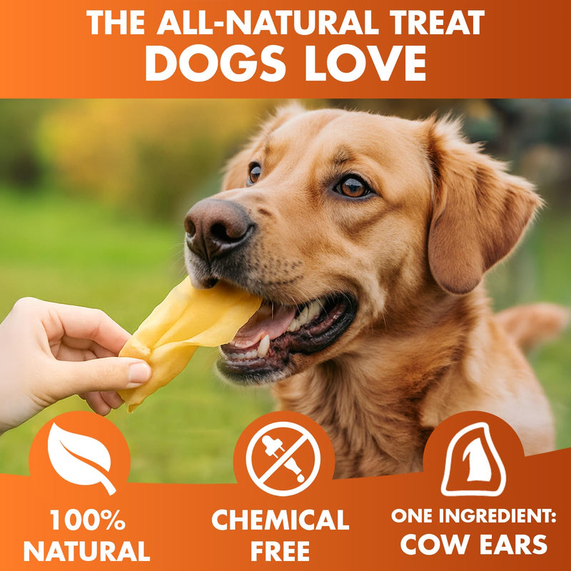 BRUTUS & BARNABY Cow Ears for Dogs – Whole Ears 12 ct, Thick Cut, Grass-Fed Angus Beef, All-Natural No-Rawhide Dog Treat Alternative 12 Count