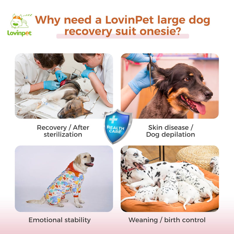 LovinPet Dog Recovery Suit for Large Medium Dogs - Dog Bodysuit for Abdominal Wound After Surgery Anti Licking Abdominal Wound Surgical Clothes Post-Operative Vest E-Collar Alternative,Crab,Red,XL XL Red collar/Blue - PawsPlanet Australia