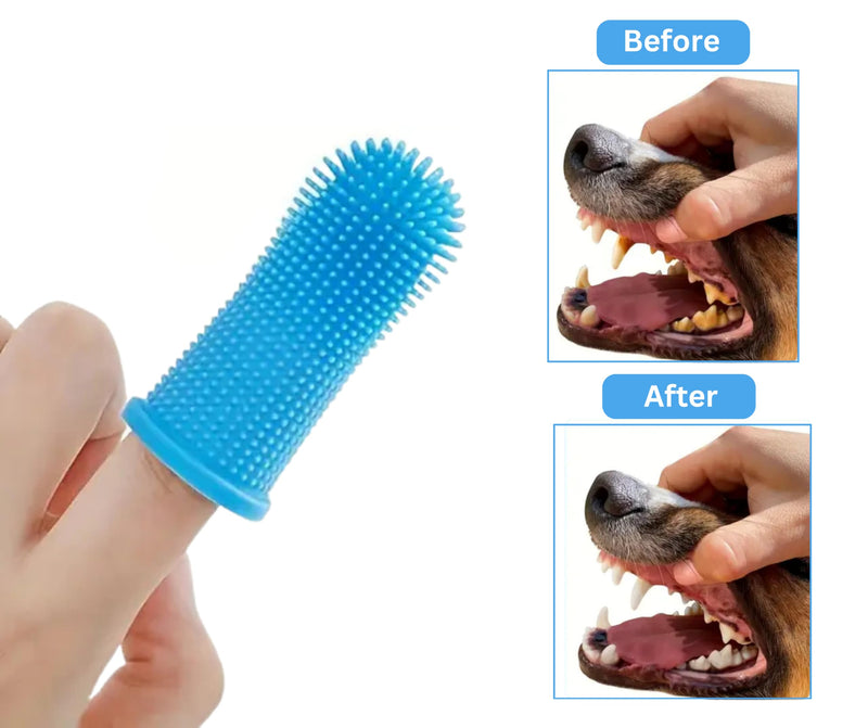 3-in 1 Dog & Cat Grooming Supplies- Self-cleaning Slicker Brush, Deshedding Rake Comb, And Finger Toothbrush For Dogs & Cats | Perfect For Pet Grooming Kit, Dematting And Dental Tool (blue) blue - PawsPlanet Australia