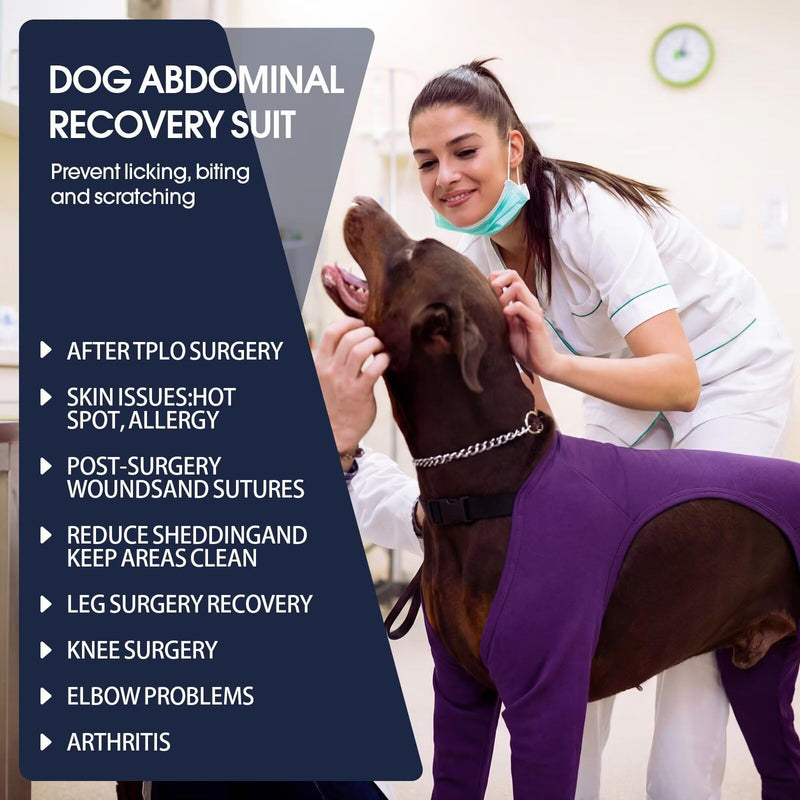 IECOii Post Op Dog Suit,Dog Recovery Suit Front Rear Leg,Full Coverage Rear Front Medical Vest Legs Leg Protector,Elbow Protector Dog Leggings to Prevent Licking for Dogs with Leg,Purple,Size 3XL 3XL(Back Lenth:24.4") Purple
