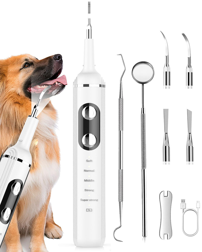 Wagner Stern Dog Plaque Remover for Teeth, Dog Toothbrush with 5 Modes & LED Light for Calculus and Stains Removal ultrasonic Pet Teeth Cleaning, Dental Care kit with 4 Heads White