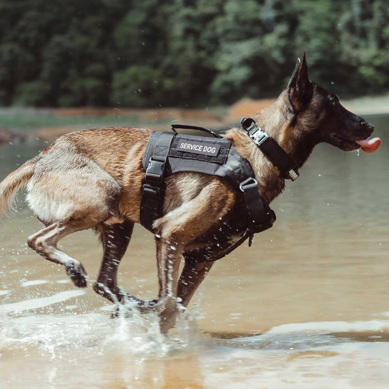 EXCELLENT ELITE SPANKER Tactical Dog Harness Vest Military Working Dog Harness No-Pull Pet Harness Adjustable Training Vest with Easy Control Handle (L, Coyote Brown) L (Chest:31.5''-43.3'') - PawsPlanet Australia