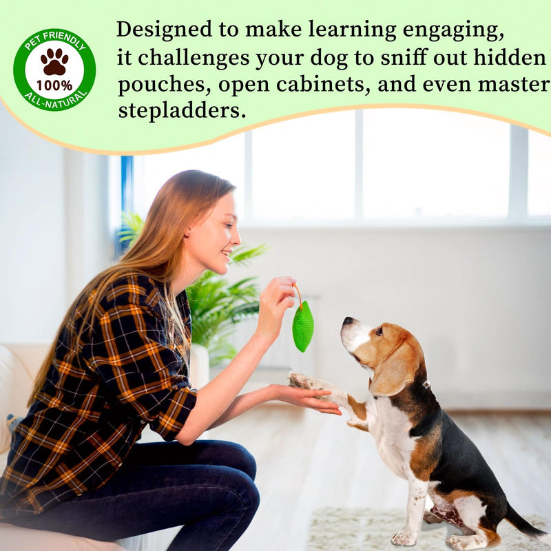 Dog Scent Training kit, Brain Games, Hide and Seek Toys - Fun Nose Work Games, Sniff and Seek Sniffing Toys, Nosework Kit, Scent Work Kit for All Ages Dog (Green) Green - PawsPlanet Australia