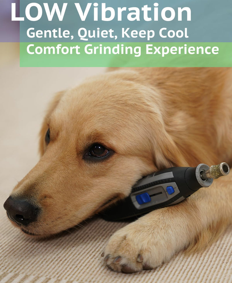 Diamond Dog Nail Grinder Attachment, Diamond Rotory Bit for Dogs&Pets Nail Care, Made for Dremel Grinder for Animals Nail Care & Home Grinder Tools, Retriever, Fast-grit - PawsPlanet Australia