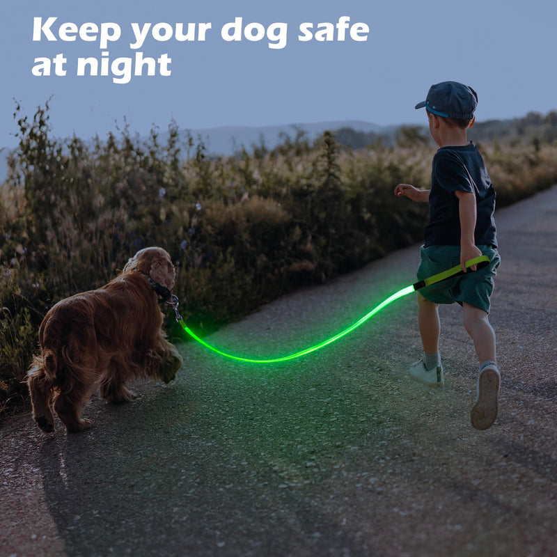 LED Dog Leash Light Up 4 Feet Micro USB Rechargeable Nylon Webbing Glow Safety Standard by Bpawser (Green) Green - PawsPlanet Australia