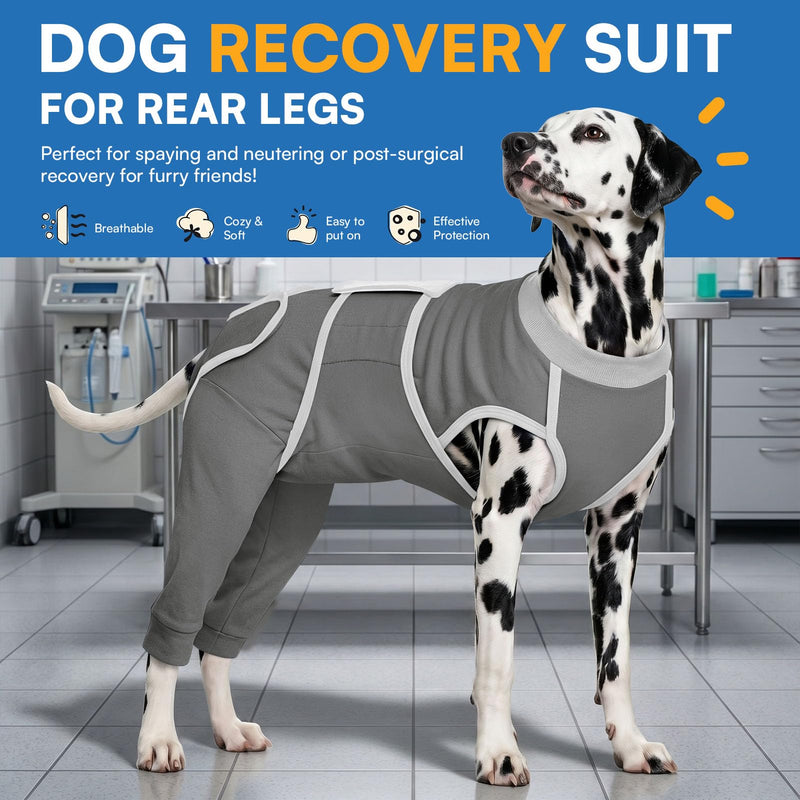 Queenmore Dog Recovery Suit for Rear Legs, Soft Comfortable Dog Shirt to Prevent Licking, Recovery Suit for Dogs, Back Leg Wound Protection After Surgery, Grey XL X-Large