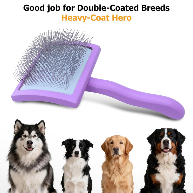 Extra-Long Pin Slicker Brush for Large Dogs, Removes Tangles, Mats & Undercoat Fluff, Wood Handle, Grooming Tool for Poodle Goldendoodle Labradoodle & Thick-Coat Breeds, Purple - PawsPlanet Australia